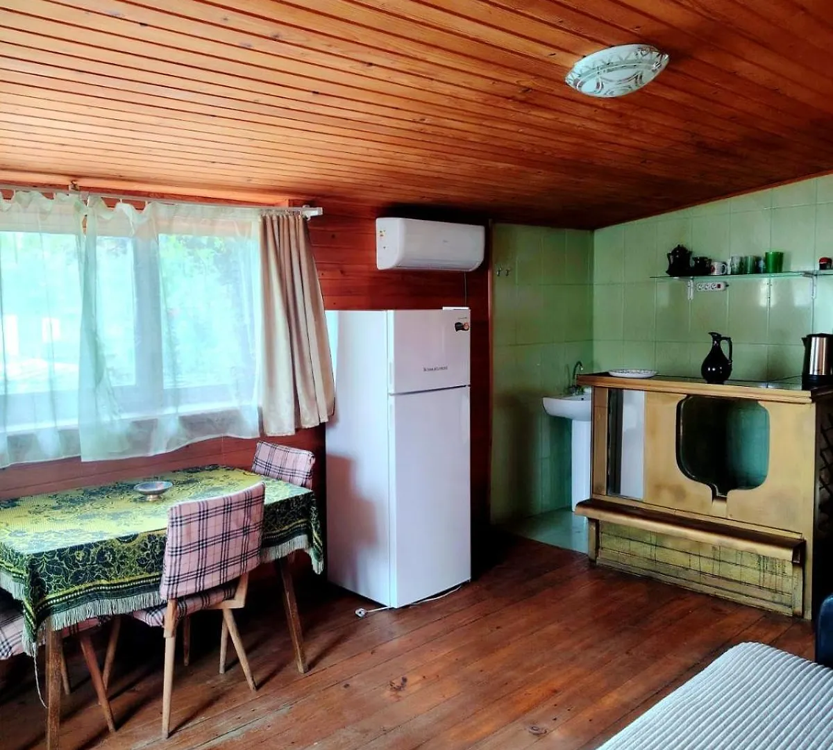 Гостевая Комната С Ванной И Отдельным Входом Villa Tbilisi